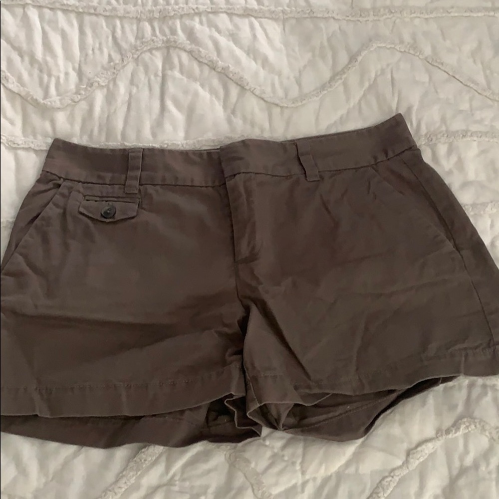 Ann Taylor Loft Shorts